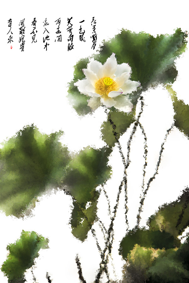 画意荷花(后期) - 摄影师159766779530845