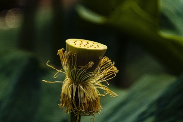 505718