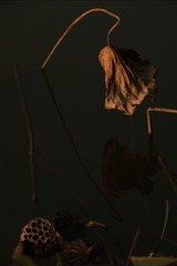 1000552480