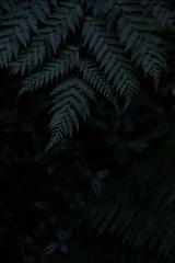 1000552471