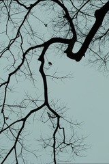 1000776829