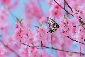 1B01131C-96DF-4BE9-8B91-738E742A94D8/L0/001