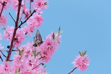 2AAA6CF7-5C80-419B-A4EB-D74780849E8E/L0/001