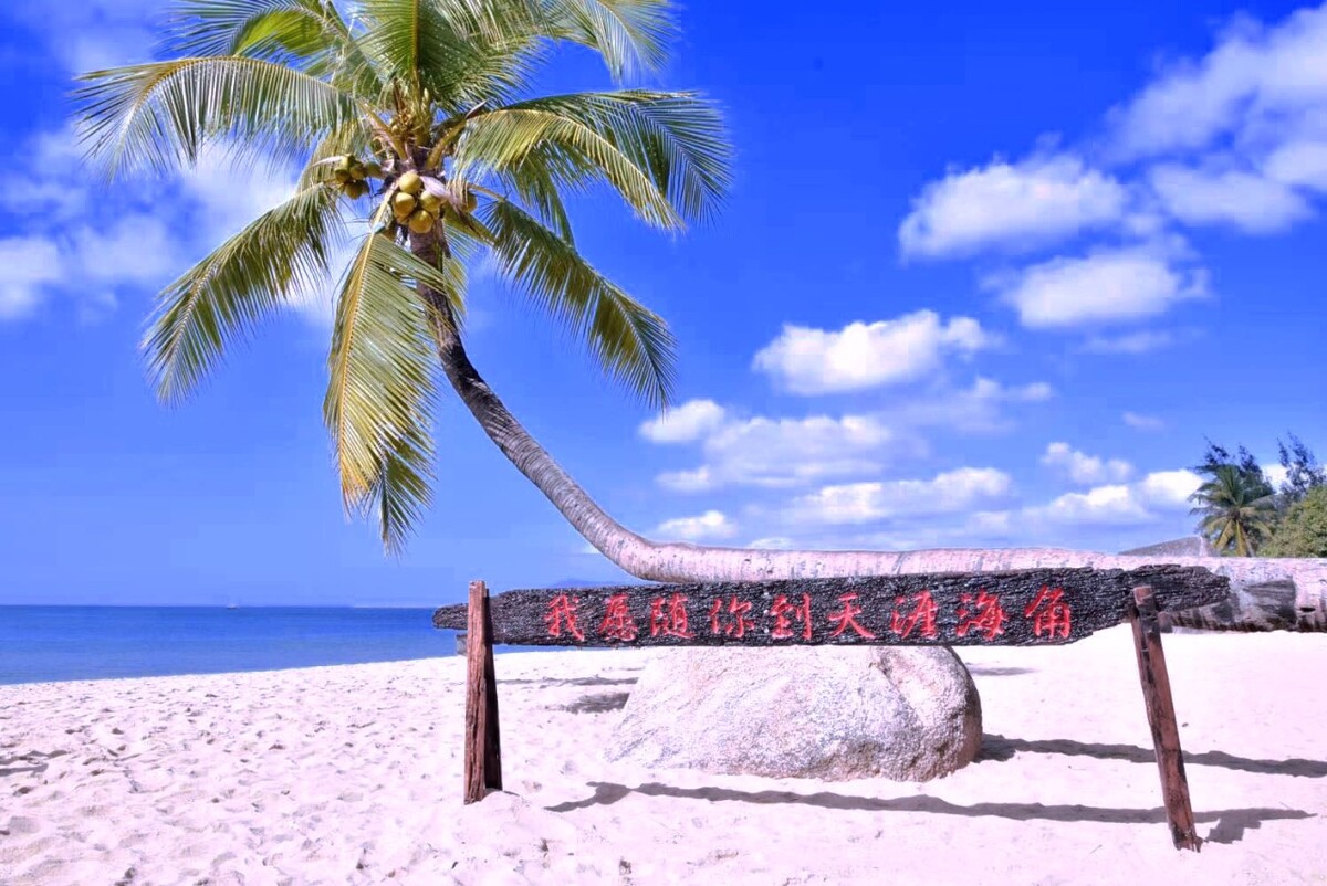 我愿随你到天涯海角