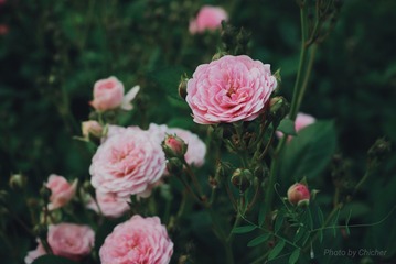 199075