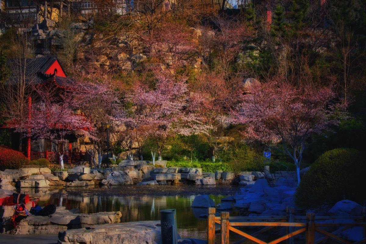 博山人民公园即景.