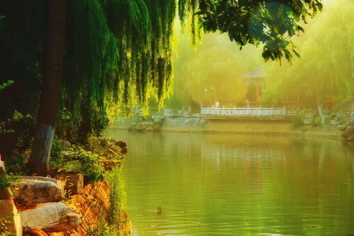 家门口的风景最美拍摄于淄博市博山区文姜湖畔