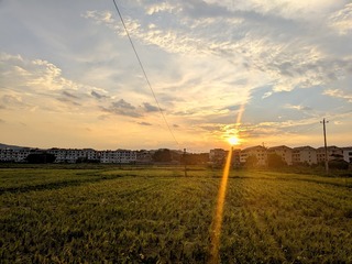 1000079297