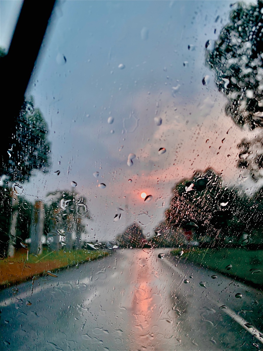 太阳雨莫名的好心情