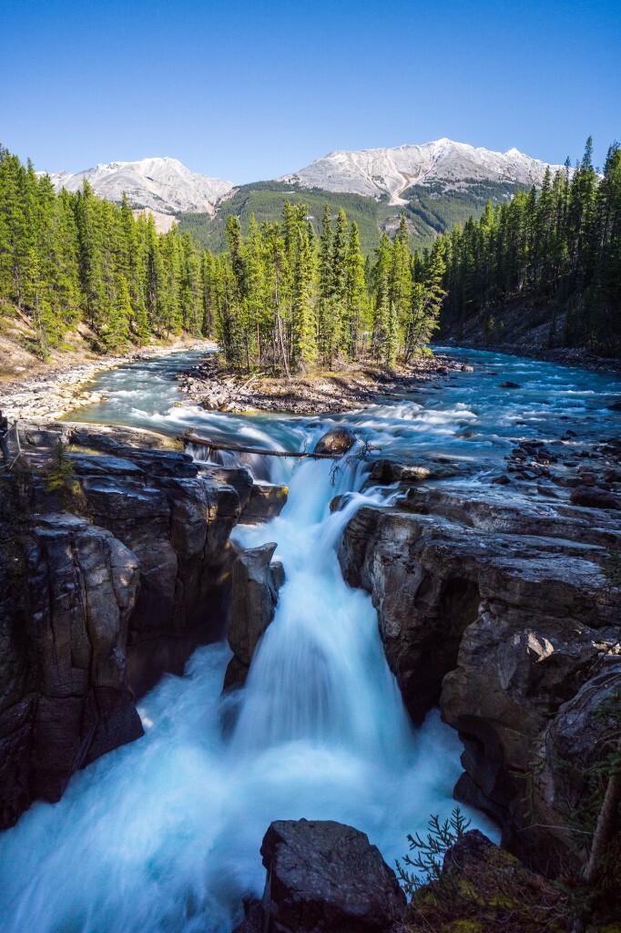 Sunwapta Falls