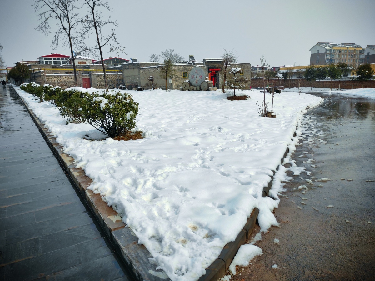 2021年的第一场雪春天的大雪摄于2021年正月十四