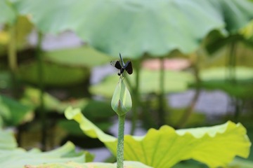 001