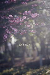 IMG_8889-01