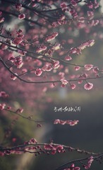 IMG_8926-01