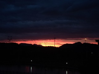 1000062555