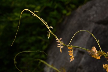 2600665
