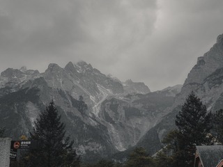 338865