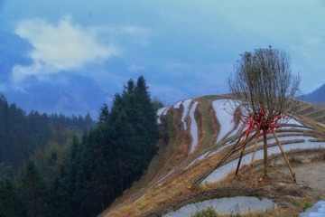 96274
