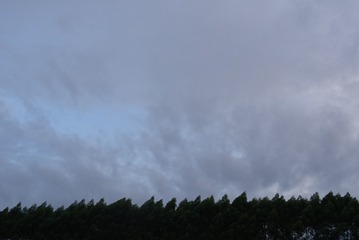544963
