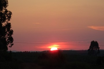 544962