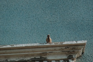545027