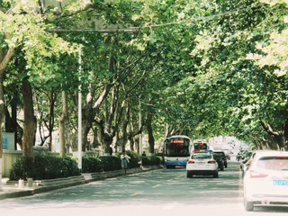 D29FD2C4-360B-4045-AB0F-514860A966EA/L0/001