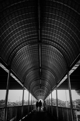 _DSC1143