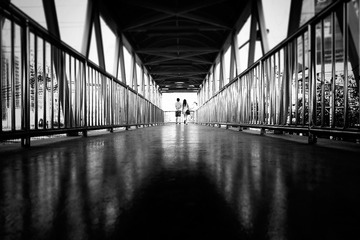 _DSC6105