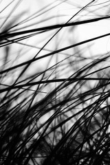 _DSC6131