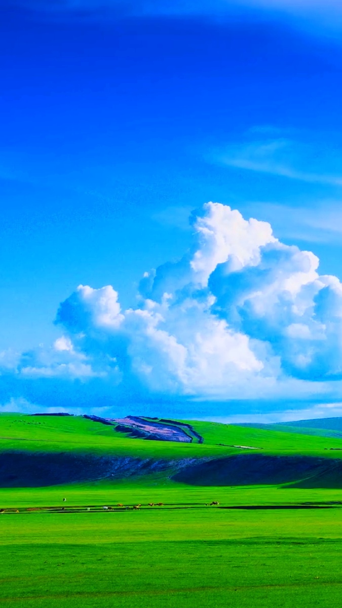 675_1200竖版 竖屏