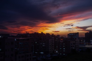 1000006282