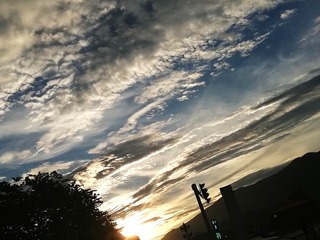 63654