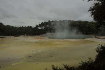 17a7db8814c165d5-photo