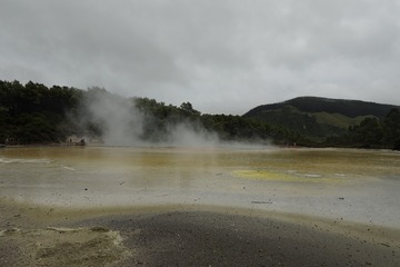 21f9e0d0a14b1e0e-photo