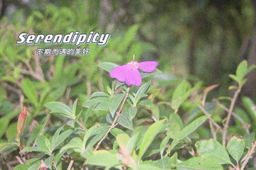 FD985CEF-BFC4-48AB-988C-5AEDDF91A6E3/L0/001
