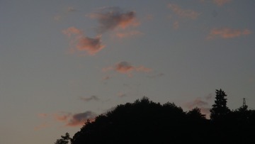 3069E4CC-6E6C-42C4-B2B1-E95C18DA8776/L0/001