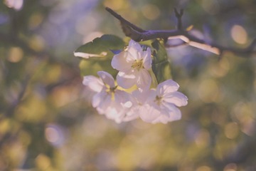 5A9F8F07-9C58-48B2-A28E-394F4036CB74/L0/001