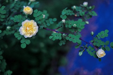 0E5B9073-F3C5-4F47-96B7-B05DFA60C0D7/L0/001