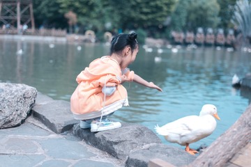14C26585-28AD-416D-BB07-2EF3B82DF33A/L0/001