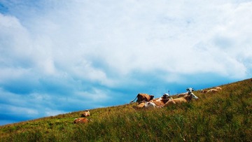 P7312510_R1.jpg