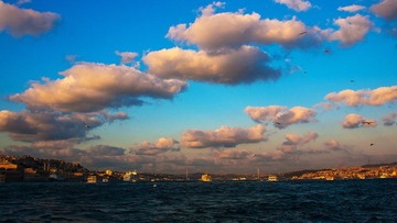 P9232965_R.jpg