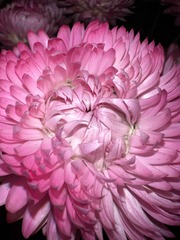 7B703E6D-C965-4E0B-B621-00CD10EA423F/L0/001
