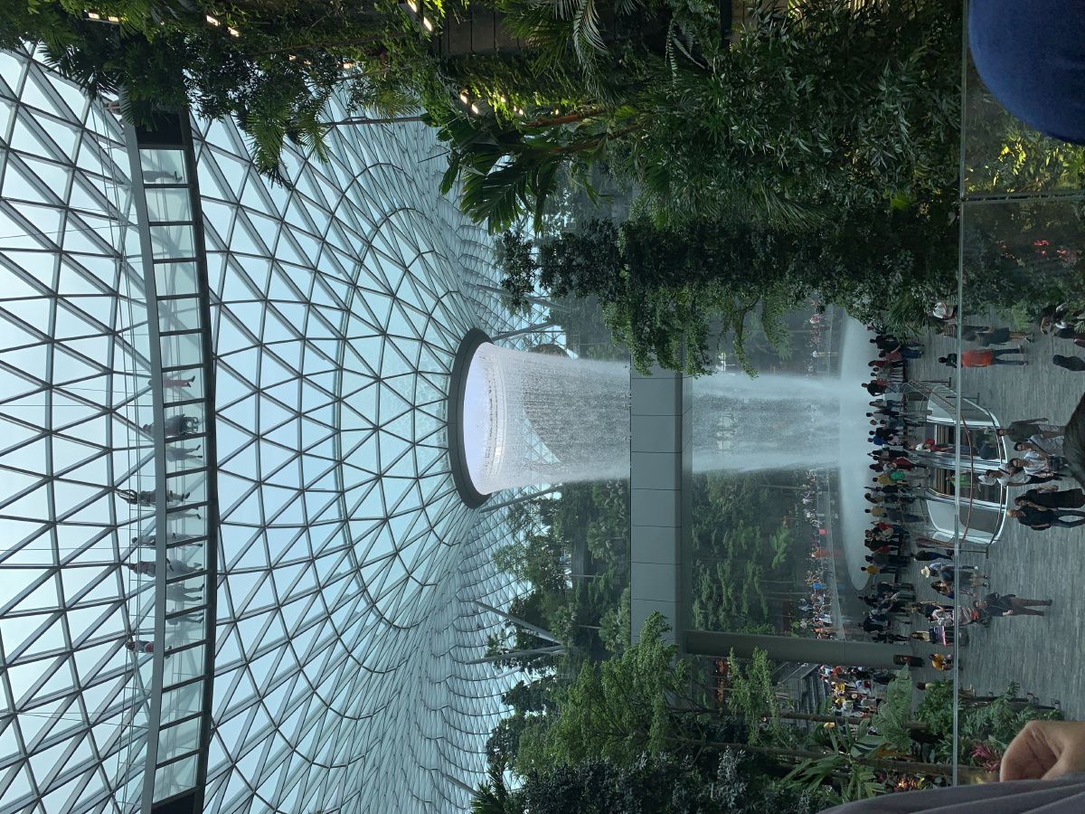 新加坡樟宜机场 瀑布雨林