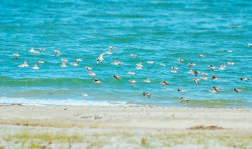 DSC_9321 拷贝_2