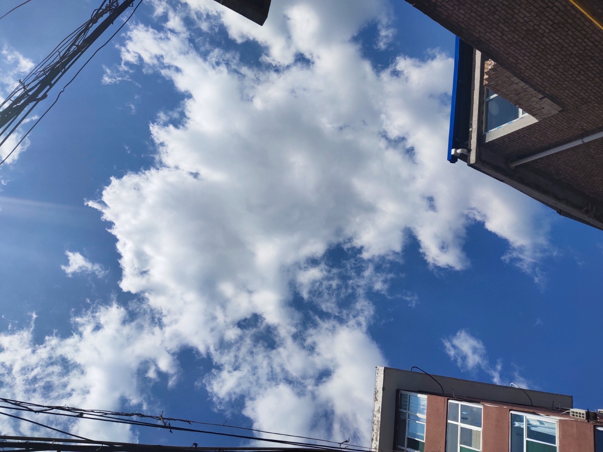 无滤镜实拍天空下的云朵