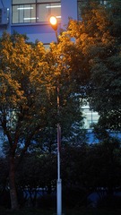 1617532