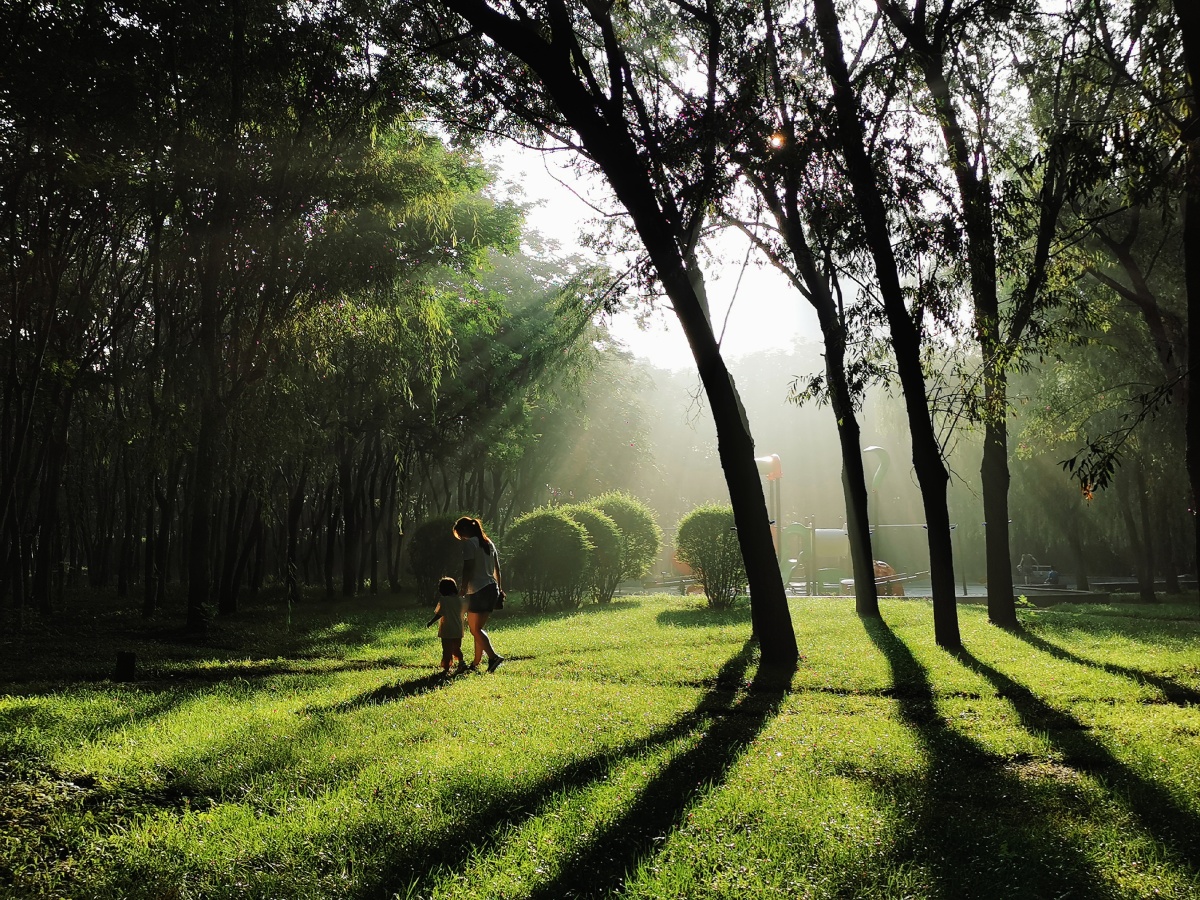 清晨,母女在公园散步.