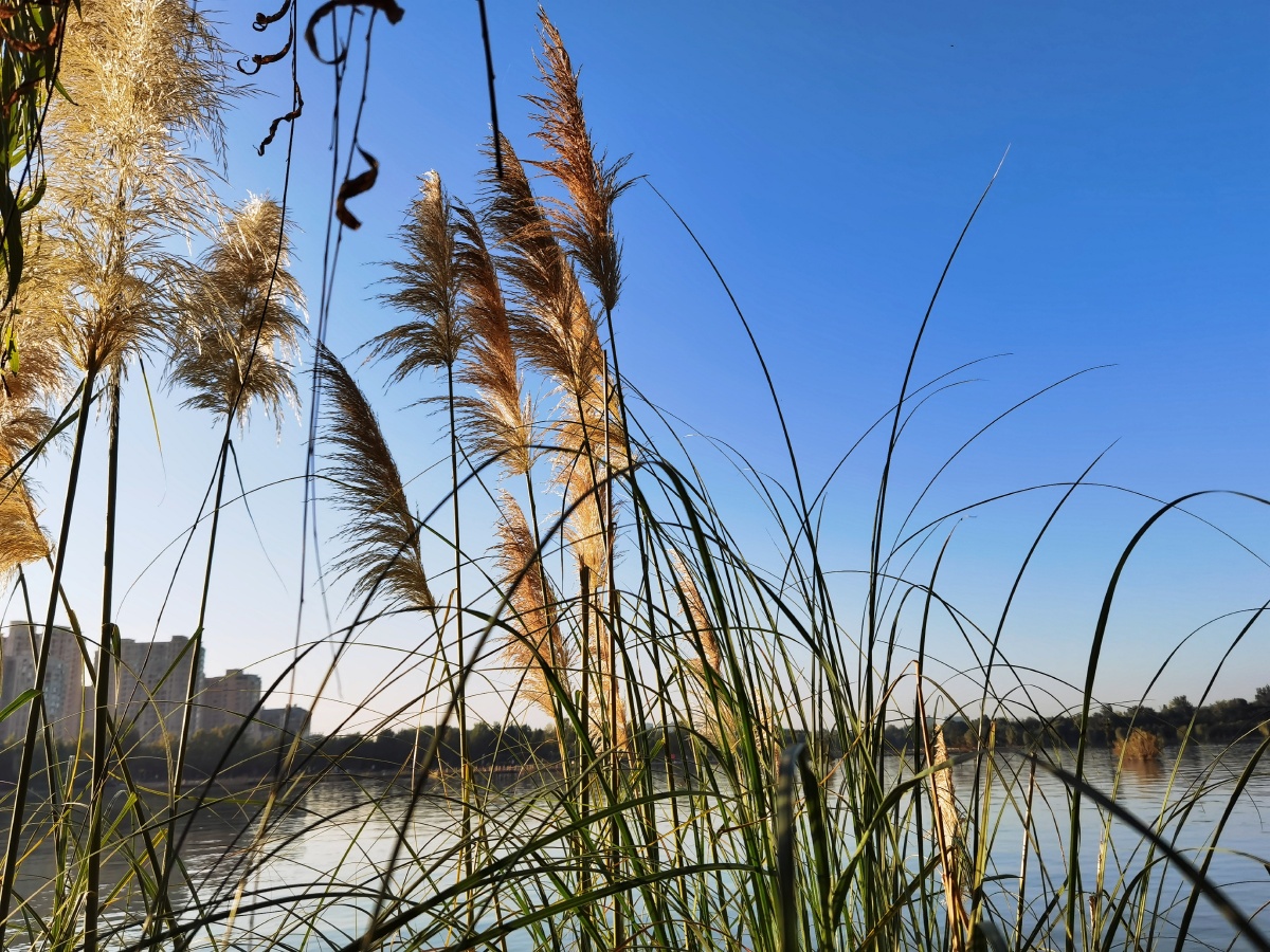 秋天是丰收的季节初秋的景色更美丽