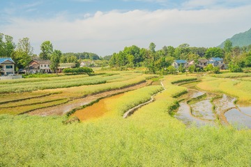 870005