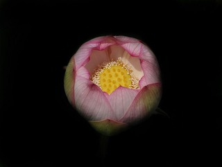 DSC05467H_调整大小